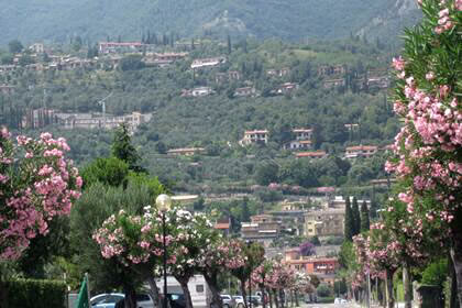 Toscolano Maderno Gardasee Hügel Panoramablick